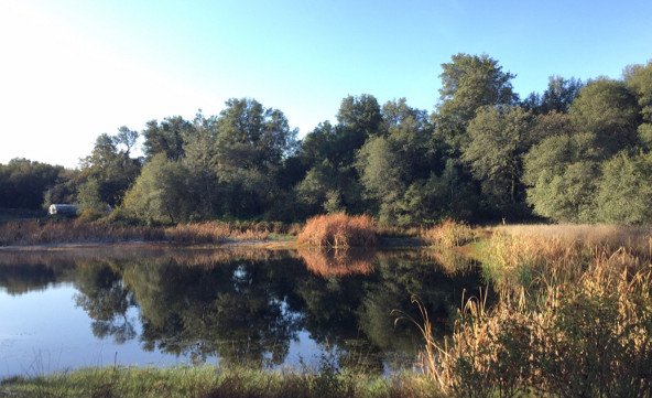 A beautiful view of the Samadhi rural residence in California. Trees are reflected in a tranquil lake.
