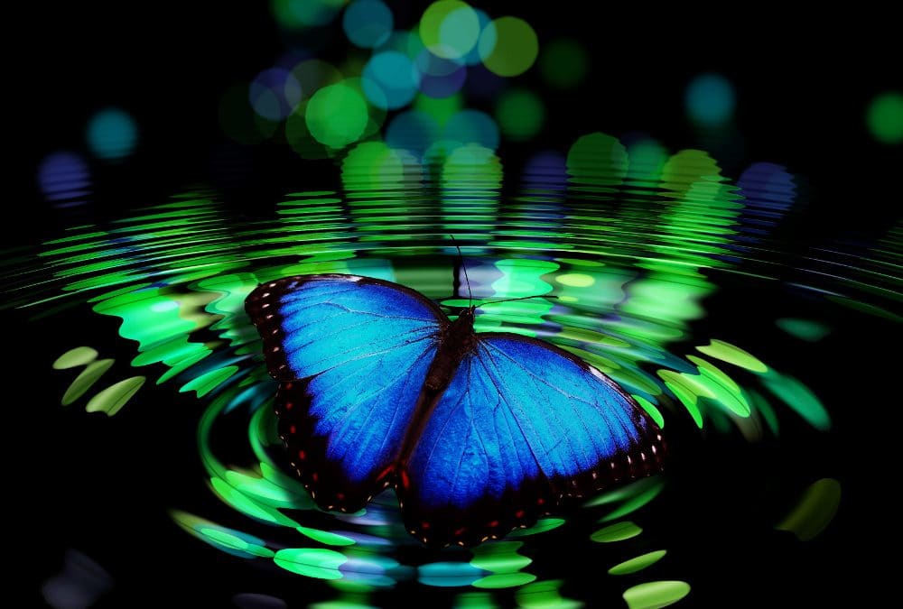 A beautiful blue butterfly sitting on water, causing ripples.